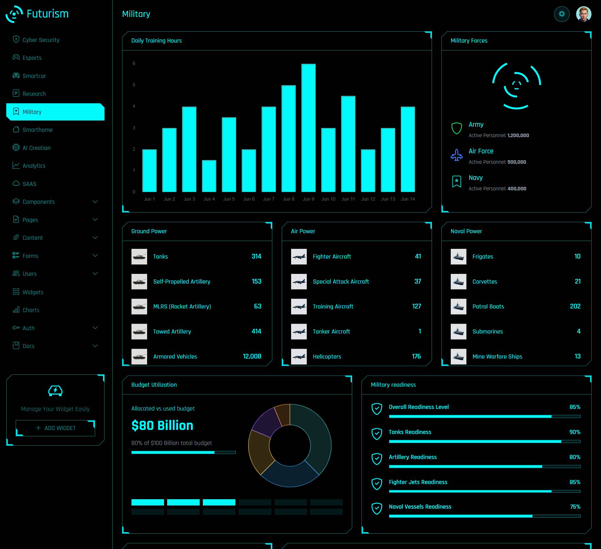 Military dashboard